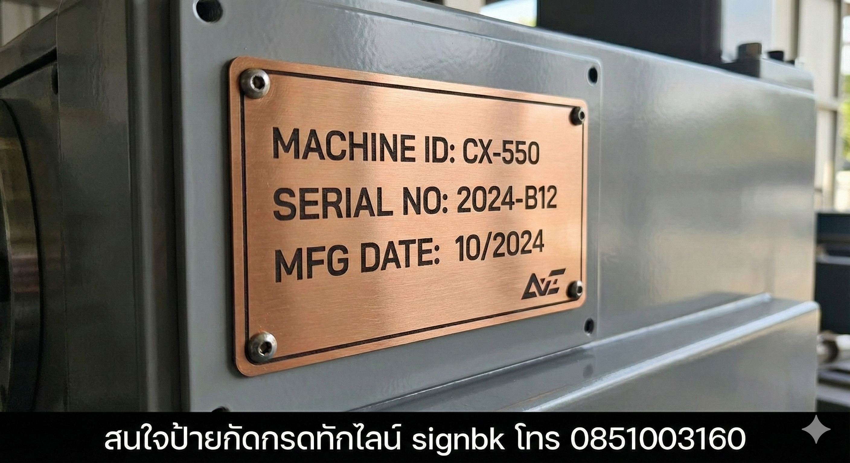 ป้ายกัดกรด